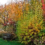 autunno alla Querceta