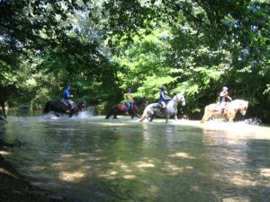 Horse Riding Week-end